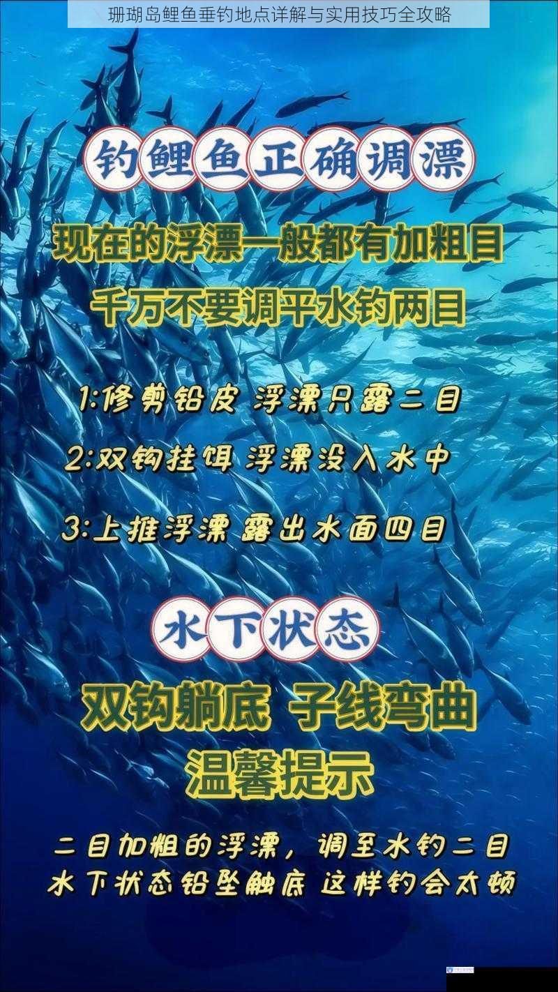 珊瑚岛鲤鱼垂钓地点详解与实用技巧全攻略